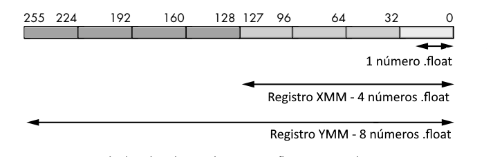 Armazenamento de números de ponto flutuante de precisão simples em registradores SIMD na arquitetura x86-64