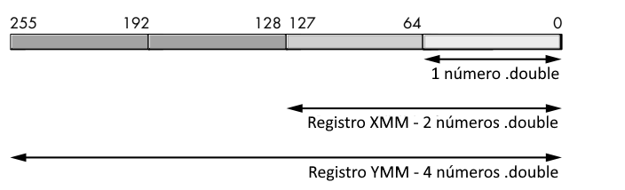Armazenamento de números de ponto flutuante de precisão dupla em registradores SIMD na arquitetura x86-64