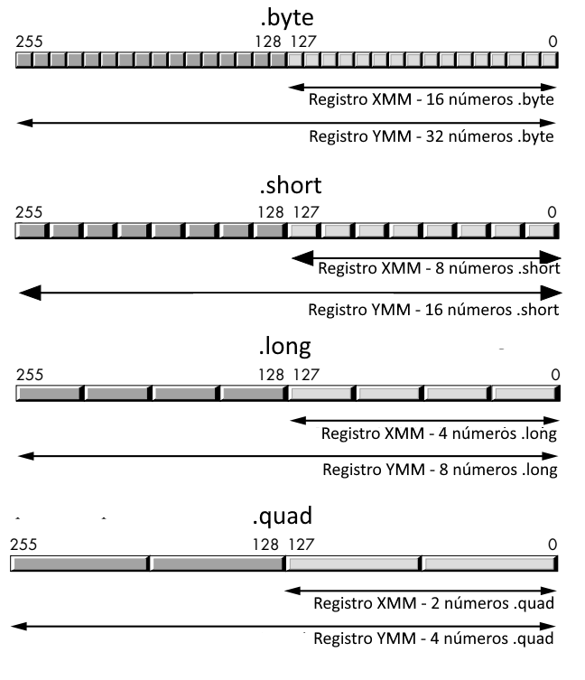 Armazenamento de inteiros em registradores SIMD na arquitetura x86-64