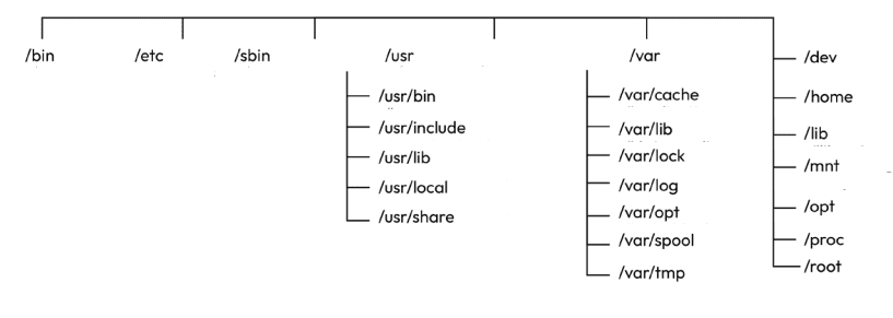 Estrutura de diretórios no Linux